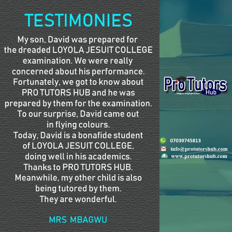pro tutors hub testimonials