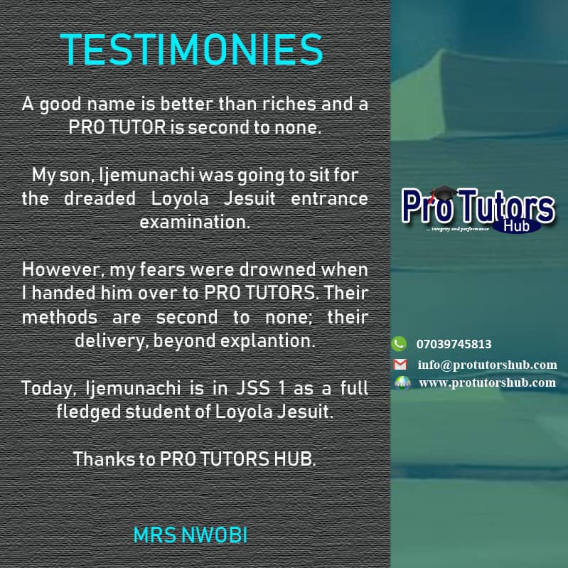 pro tutors hub testimonials